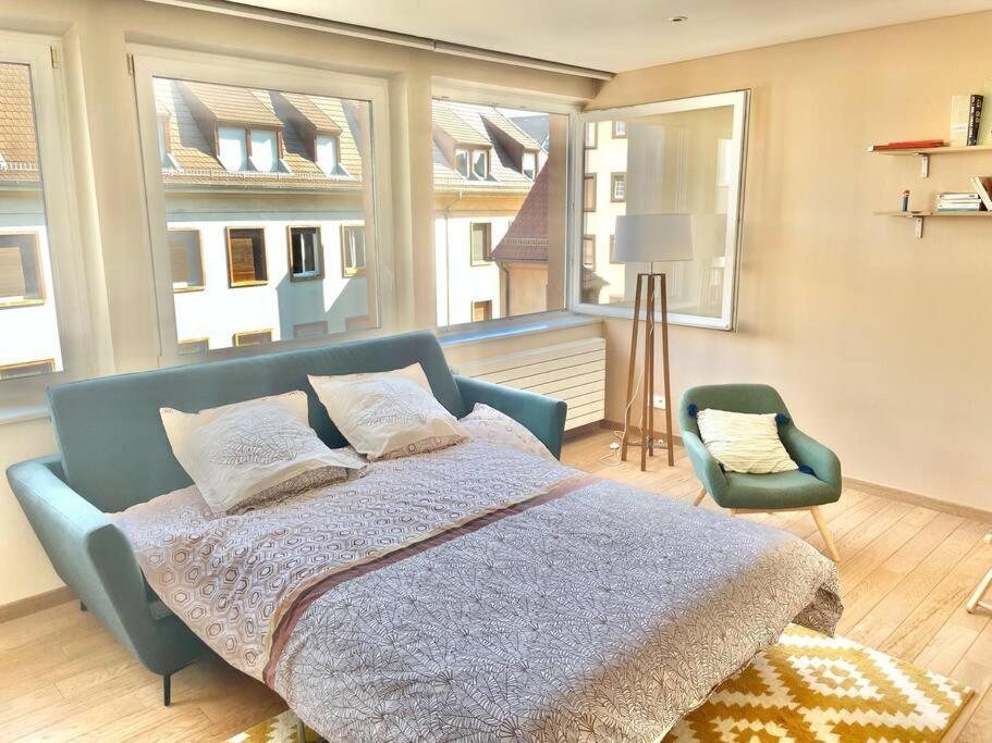 Appartement Spacieux Au Coeur De Strazburg Dış mekan fotoğraf
